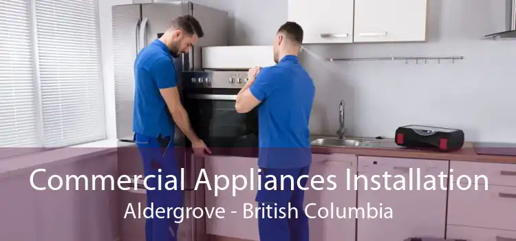 Commercial Appliances Installation Aldergrove - British Columbia