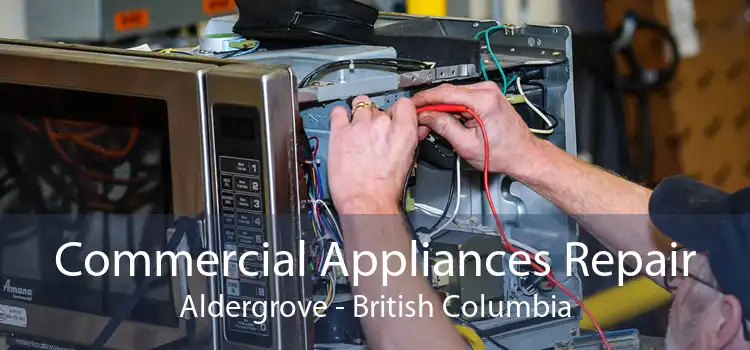 Commercial Appliances Repair Aldergrove - British Columbia