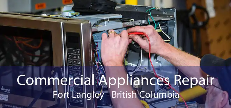 Commercial Appliances Repair Fort Langley - British Columbia