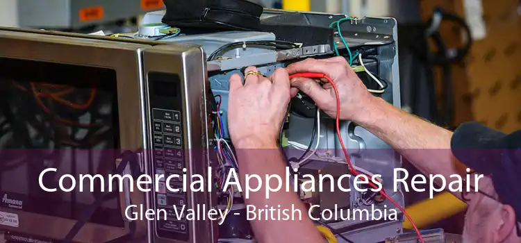 Commercial Appliances Repair Glen Valley - British Columbia