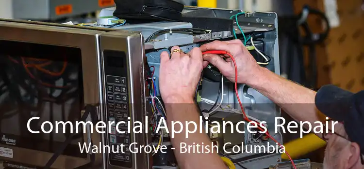 Commercial Appliances Repair Walnut Grove - British Columbia