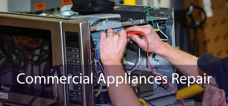 Commercial Appliances Repair 