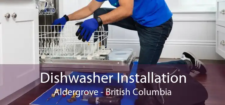 Dishwasher Installation Aldergrove - British Columbia