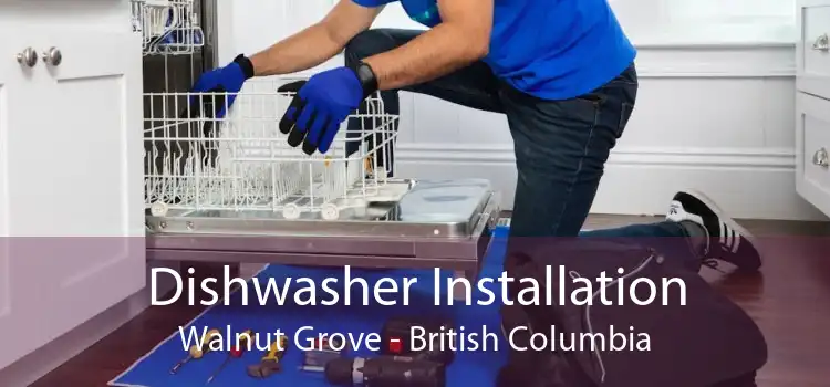 Dishwasher Installation Walnut Grove - British Columbia