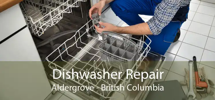 Dishwasher Repair Aldergrove - British Columbia