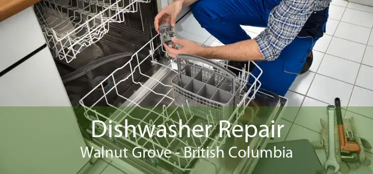 Dishwasher Repair Walnut Grove - British Columbia