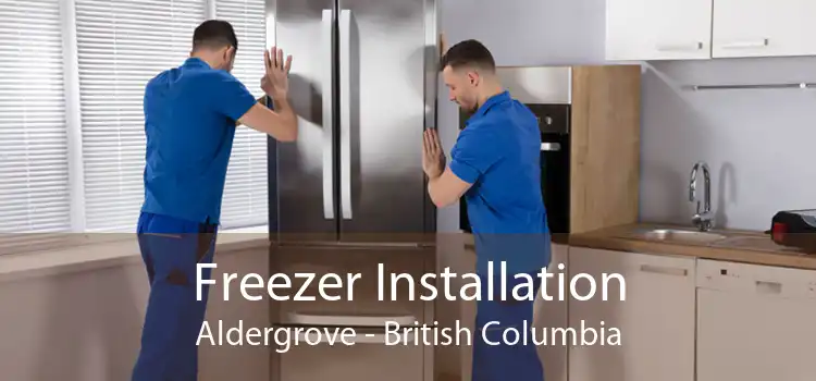 Freezer Installation Aldergrove - British Columbia