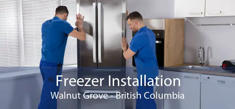 Freezer Installation Walnut Grove - British Columbia