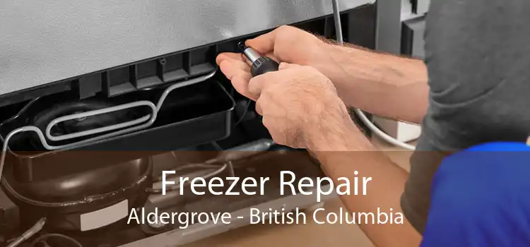 Freezer Repair Aldergrove - British Columbia