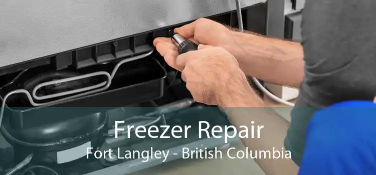 Freezer Repair Fort Langley - British Columbia