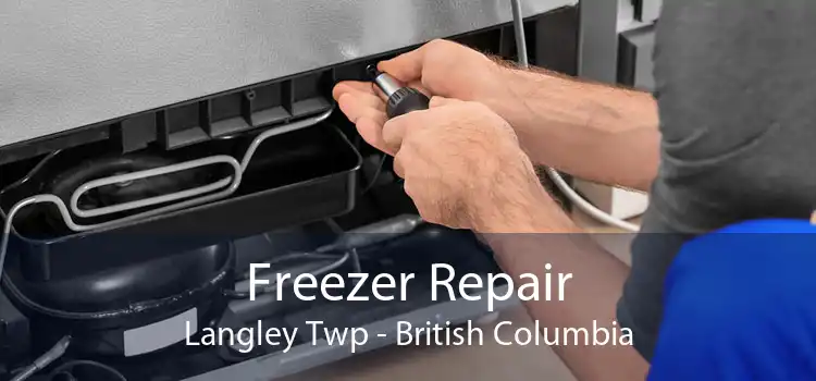 Freezer Repair Langley Twp - British Columbia