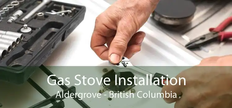 Gas Stove Installation Aldergrove - British Columbia