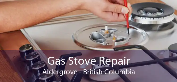 Gas Stove Repair Aldergrove - British Columbia