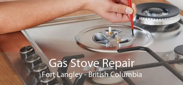 Gas Stove Repair Fort Langley - British Columbia