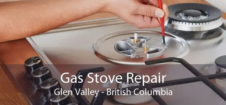 Gas Stove Repair Glen Valley - British Columbia