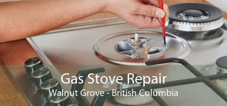 Gas Stove Repair Walnut Grove - British Columbia