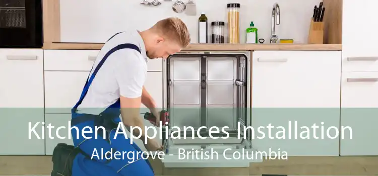 Kitchen Appliances Installation Aldergrove - British Columbia
