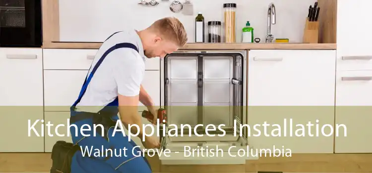 Kitchen Appliances Installation Walnut Grove - British Columbia
