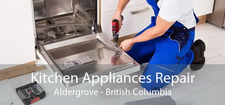 Kitchen Appliances Repair Aldergrove - British Columbia