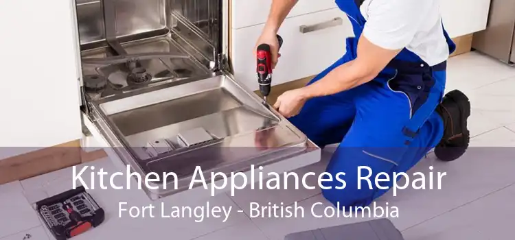 Kitchen Appliances Repair Fort Langley - British Columbia