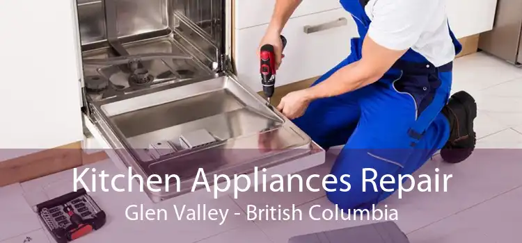 Kitchen Appliances Repair Glen Valley - British Columbia