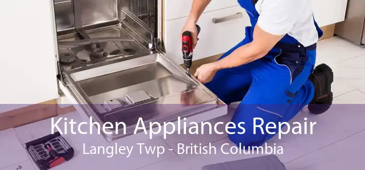 Kitchen Appliances Repair Langley Twp - British Columbia