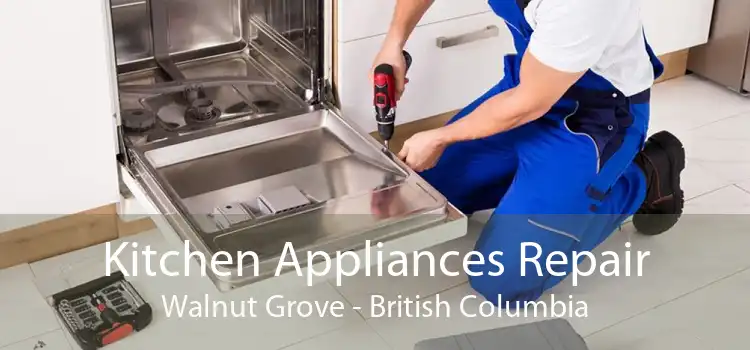 Kitchen Appliances Repair Walnut Grove - British Columbia