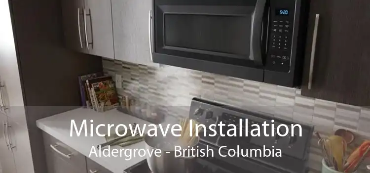 Microwave Installation Aldergrove - British Columbia