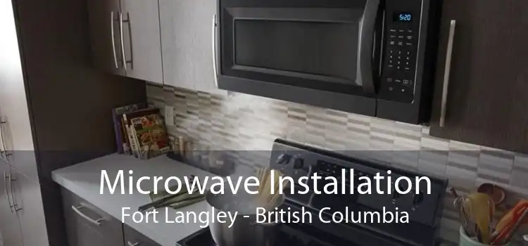 Microwave Installation Fort Langley - British Columbia