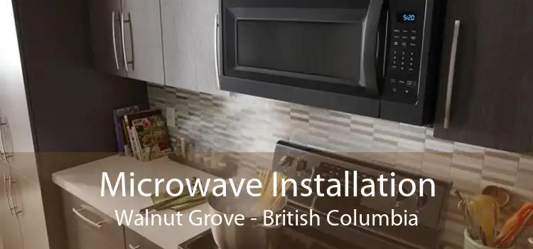 Microwave Installation Walnut Grove - British Columbia
