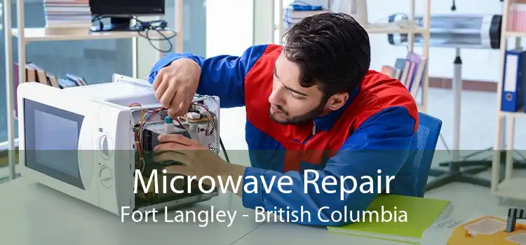 Microwave Repair Fort Langley - British Columbia