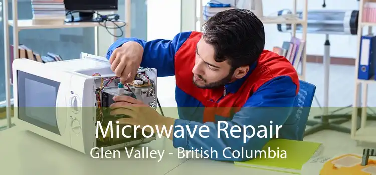 Microwave Repair Glen Valley - British Columbia