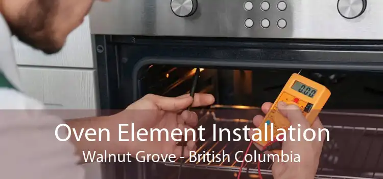 Oven Element Installation Walnut Grove - British Columbia