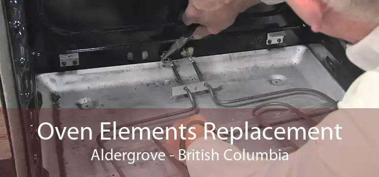Oven Elements Replacement Aldergrove - British Columbia