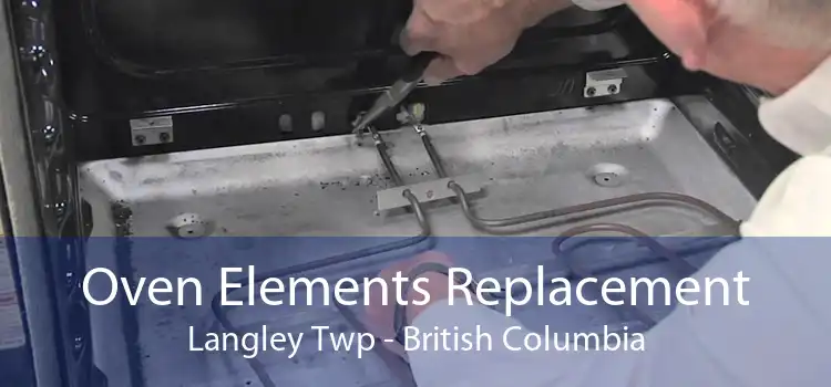 Oven Elements Replacement Langley Twp - British Columbia