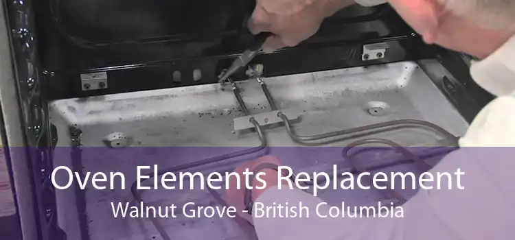 Oven Elements Replacement Walnut Grove - British Columbia