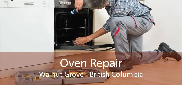 Oven Repair Walnut Grove - British Columbia