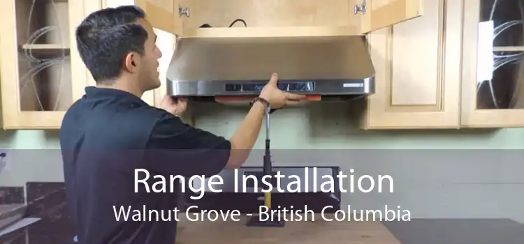 Range Installation Walnut Grove - British Columbia