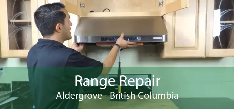 Range Repair Aldergrove - British Columbia