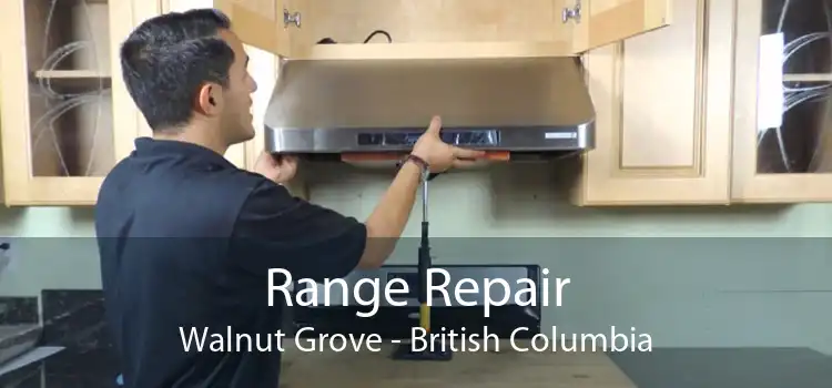 Range Repair Walnut Grove - British Columbia