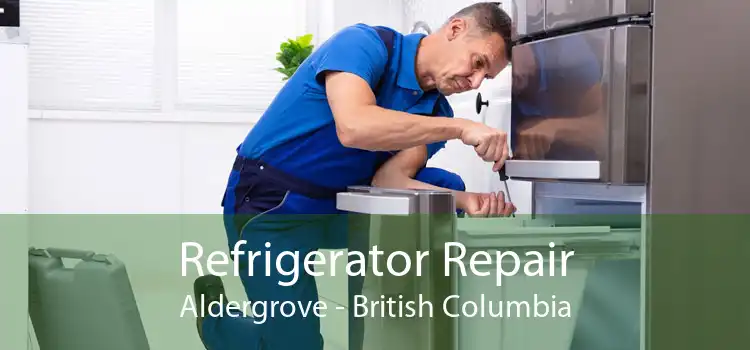 Refrigerator Repair Aldergrove - British Columbia