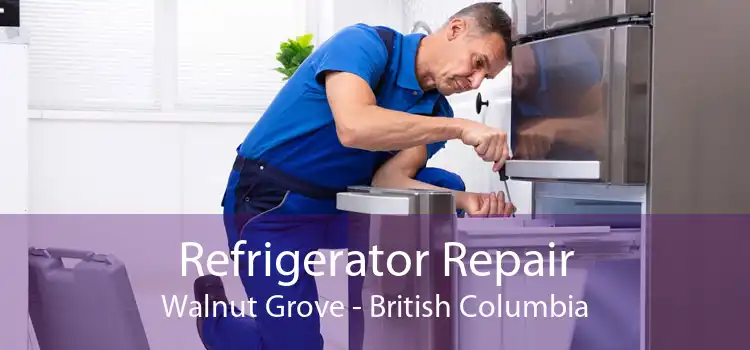 Refrigerator Repair Walnut Grove - British Columbia