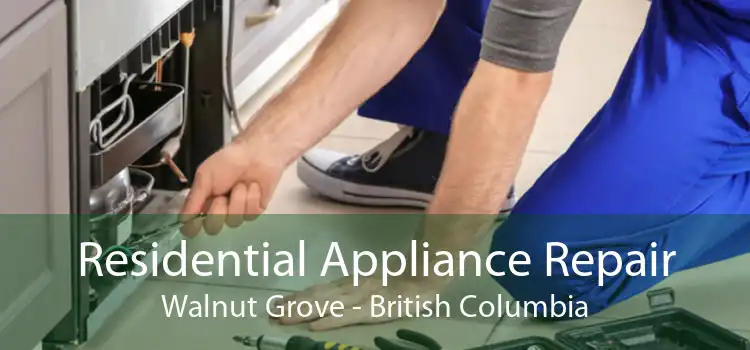 Residential Appliance Repair Walnut Grove - British Columbia