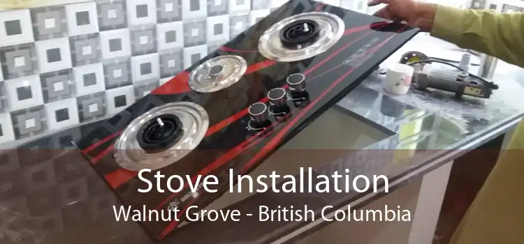 Stove Installation Walnut Grove - British Columbia