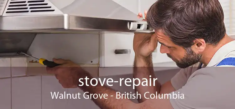 stove-repair Walnut Grove - British Columbia