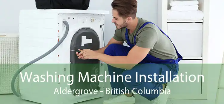 Washing Machine Installation Aldergrove - British Columbia