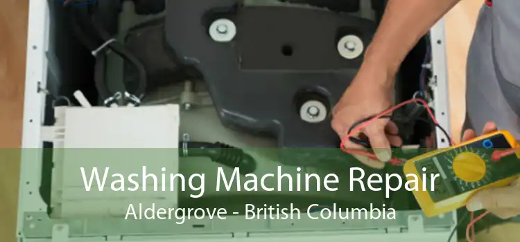 Washing Machine Repair Aldergrove - British Columbia