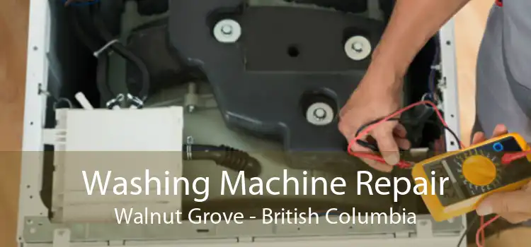 Washing Machine Repair Walnut Grove - British Columbia