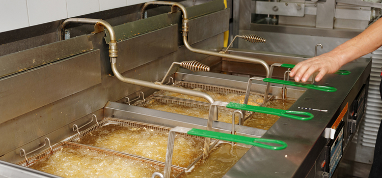 Commercial Fryer Repair in Walnut Grove