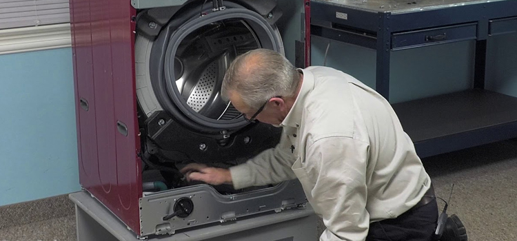 Faber Washing Machine Repair in Langley